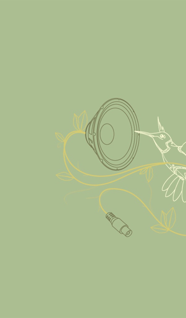 Колибри поет, серый фон