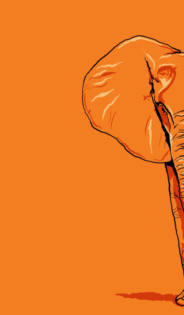 Изображение слона, оранжевый фон