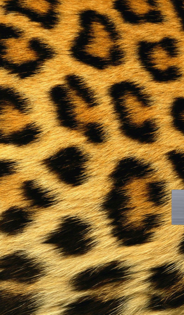 Шкура леопарда, фон Делл