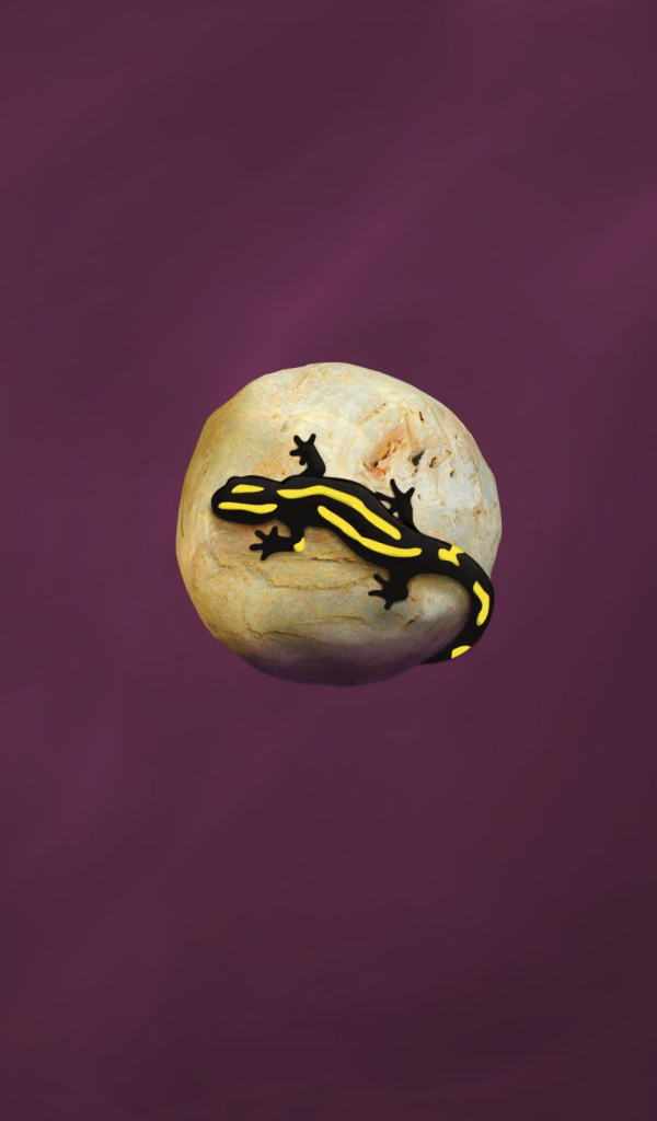 Ящерица на камне, фиолетовый фон