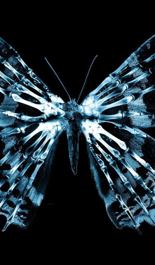 Неоновая фигура бабочки