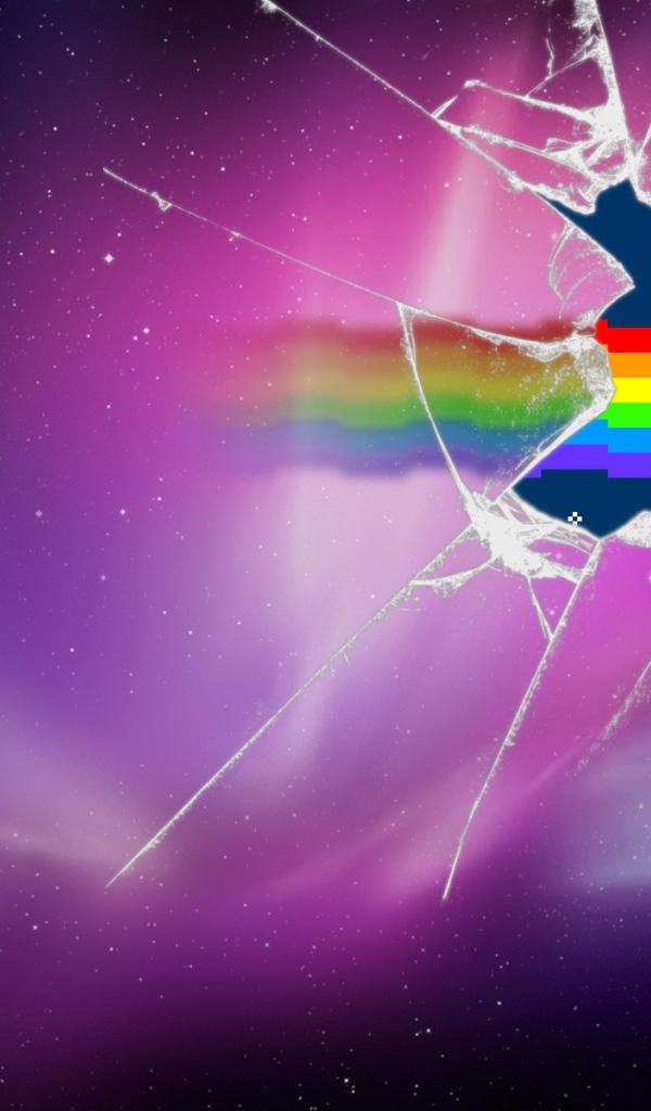 Нян кот разбил стекло