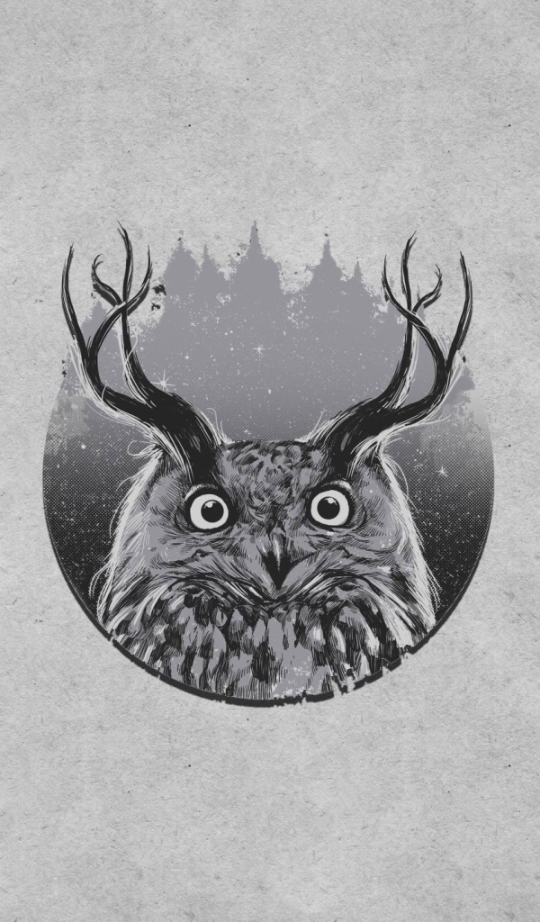 Сова с рогами, серый фон
