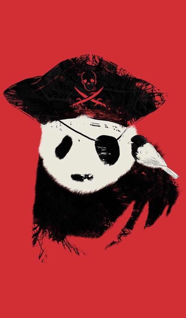Панда пират, красный фон