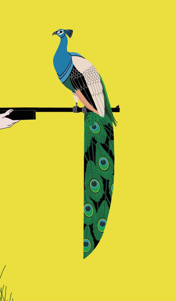 Фазан на ружье охотника, желтый фон