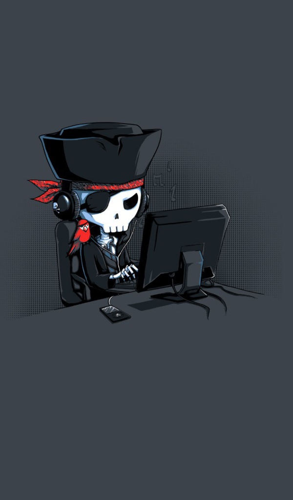 Пират за монитором, серый фон