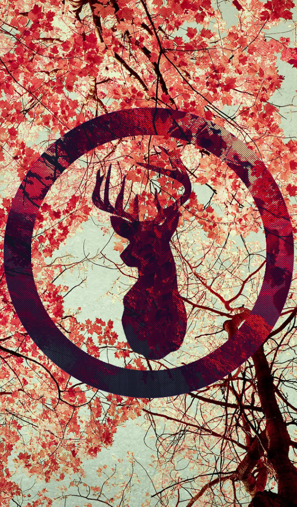 Силуэт оленя на фоне осенних листьев