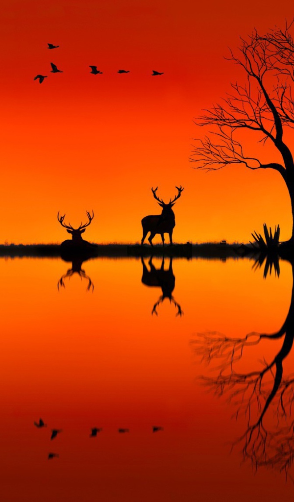 Силуэты оленей на оранжевом фоне