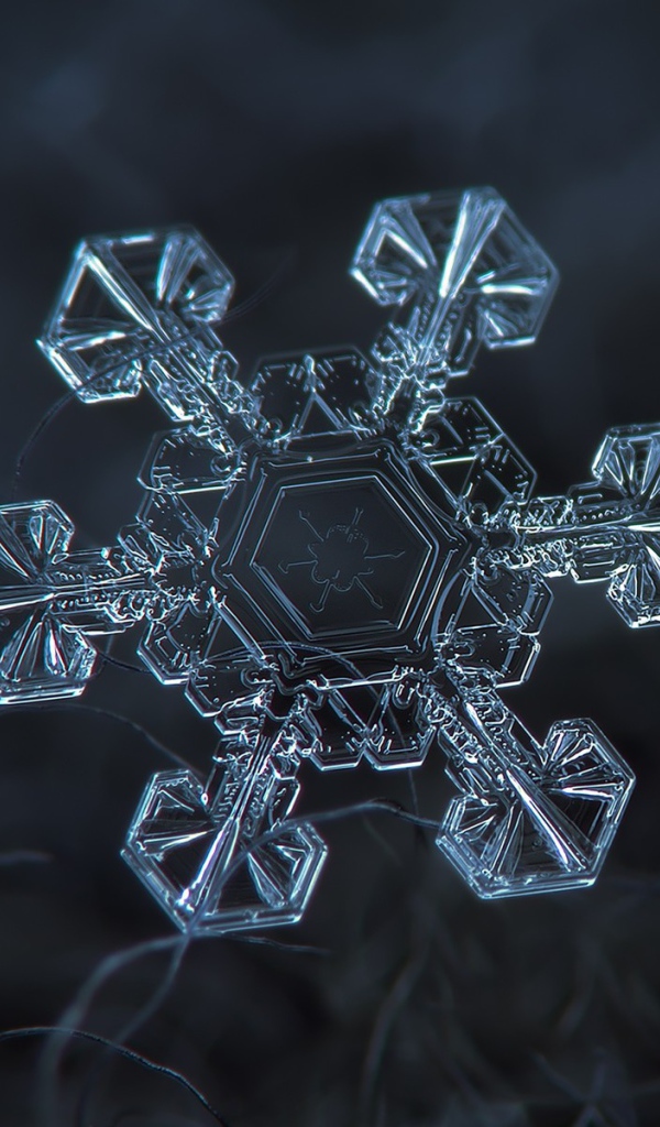 Снежинка под увеличением на черном фоне