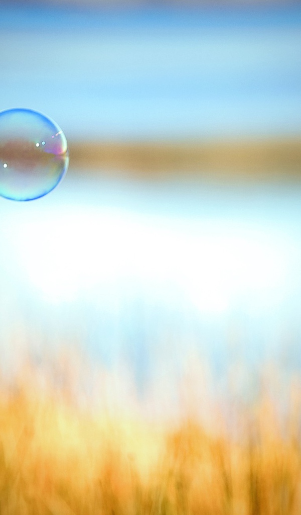 Мыльный пузырь на фоне поля