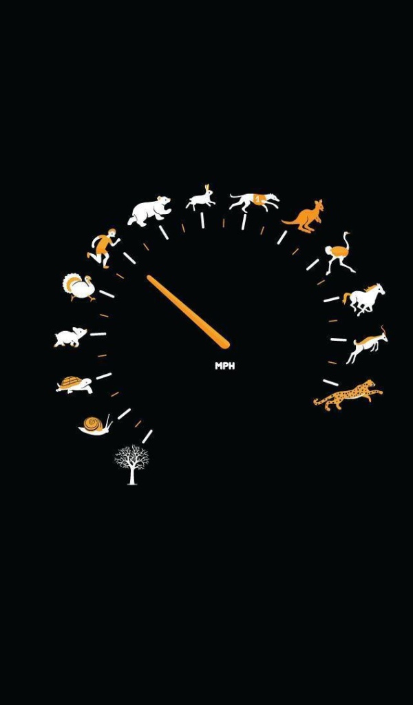 Спидометр для блондинок