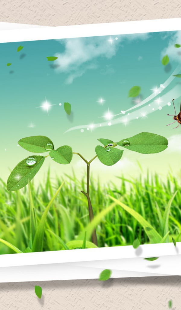 Летняя открытка с бабочкой