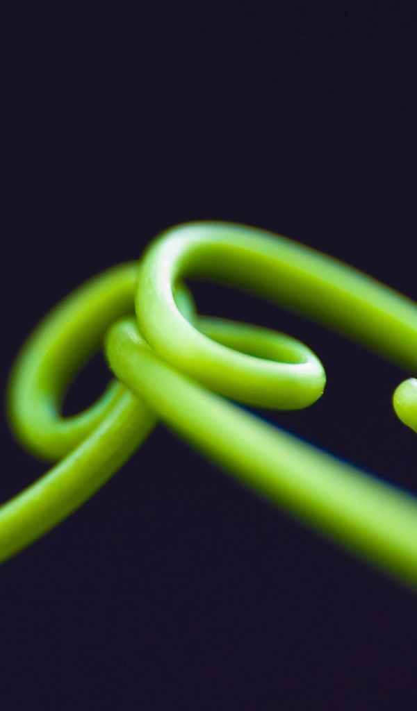 Нежные зеленые ростки на темном фоне