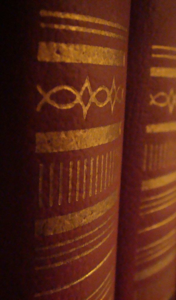 Корешки книг