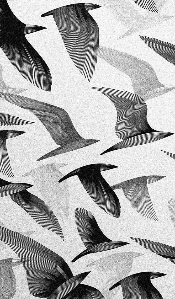 Черные птицы, серый фон