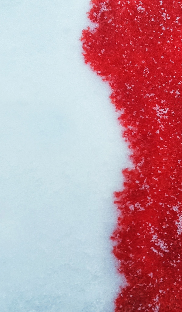 Кровь на белом снеге