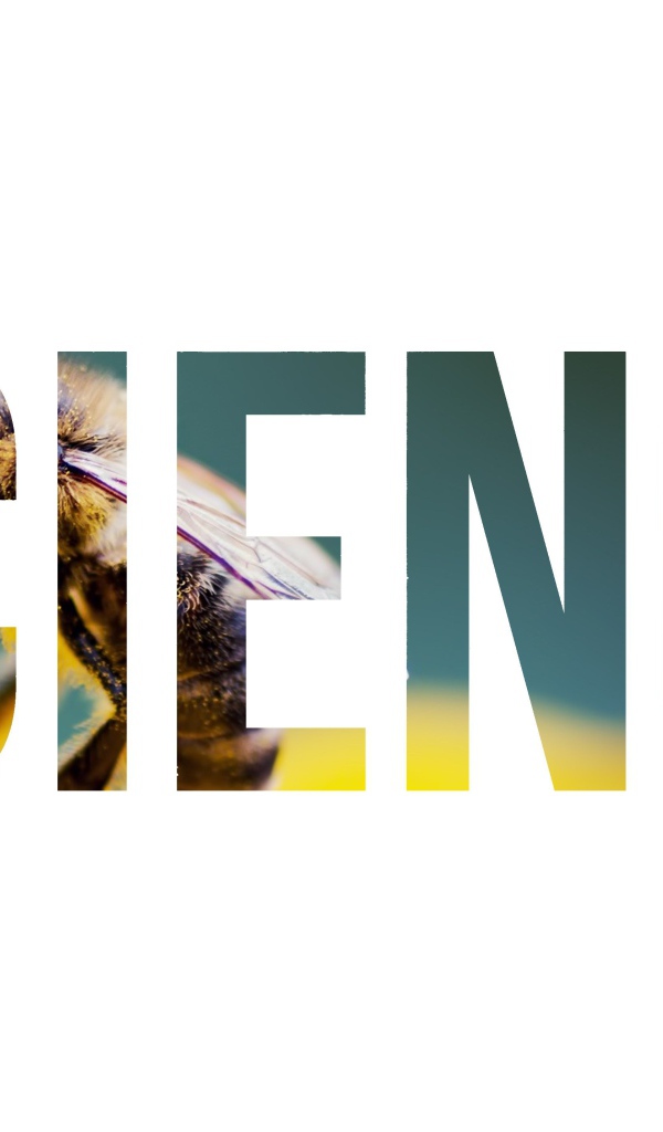 Надпись Наука на фоне пчелы