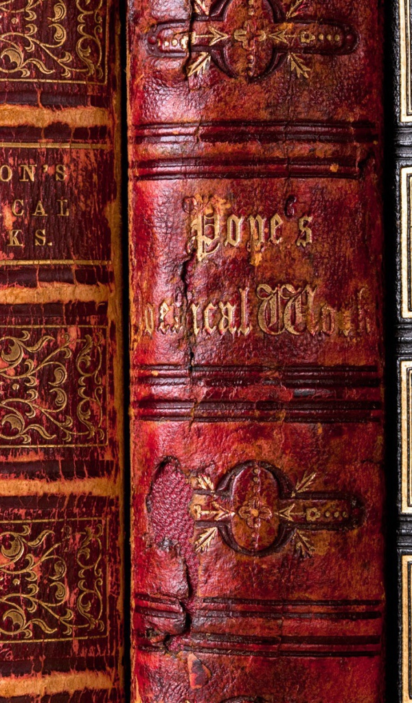 Корешки старых книг на полке библиотеки