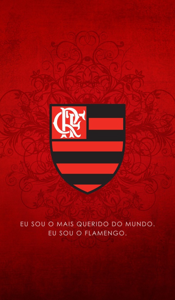 Символ клуба из Фламенко