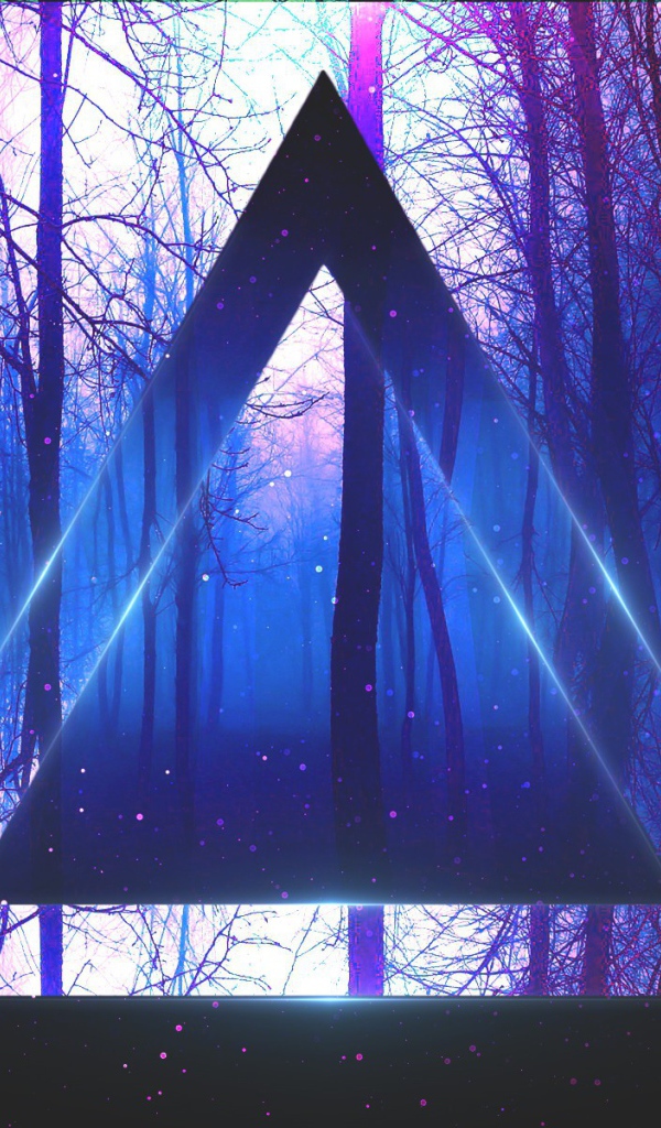 Треугольник на фоне веток