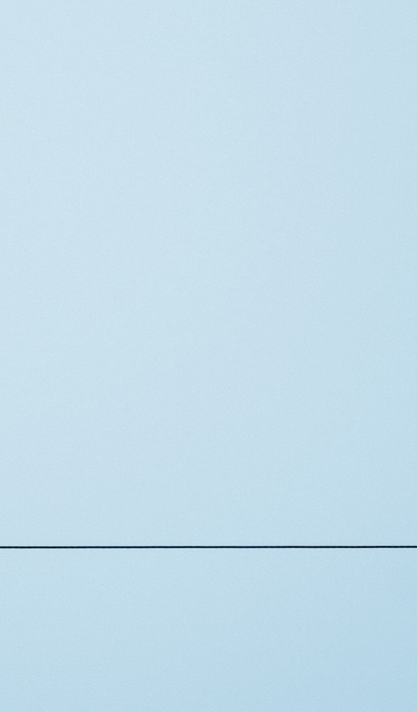 Две птицы на канате, голубой фон