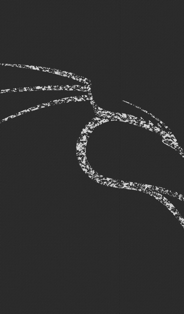 Белый дракон Kali Linux NetHunter