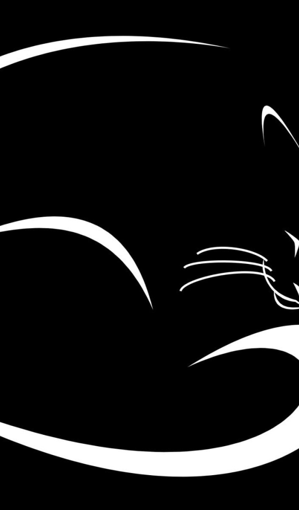 Белые контуры черного кота