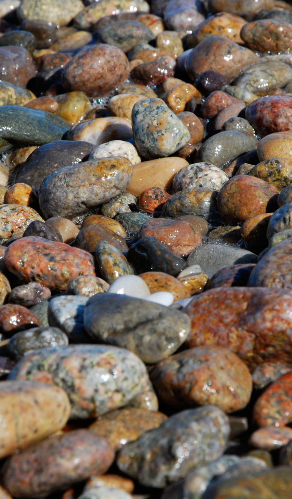 Пятнистые камни