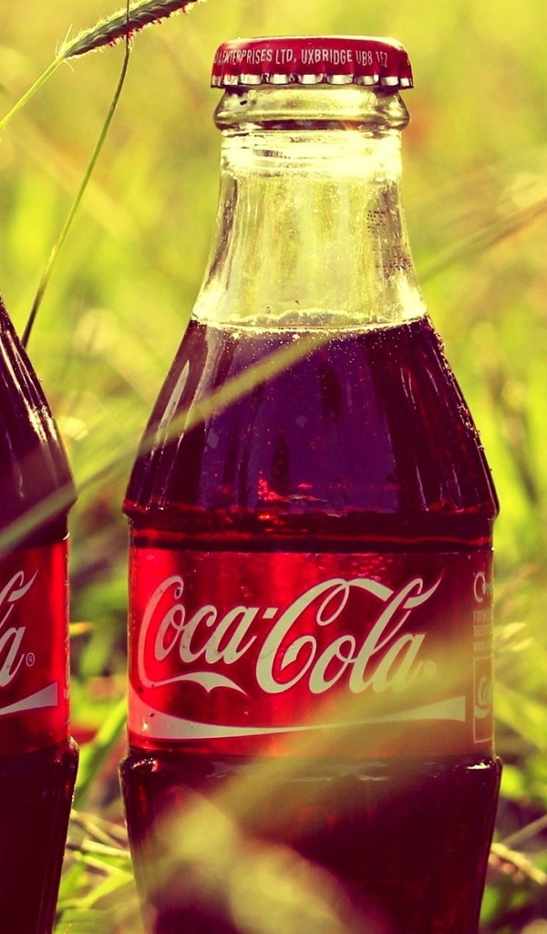 Две бутылки Coca-Cola в траве