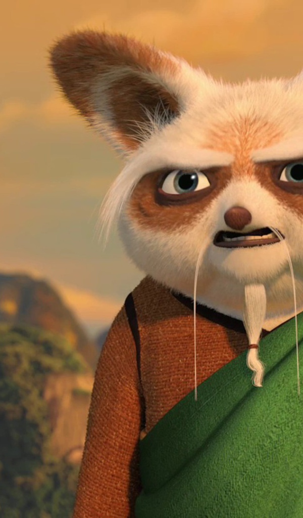 Мудрый учитель, мультфильм Кунг-фу панда