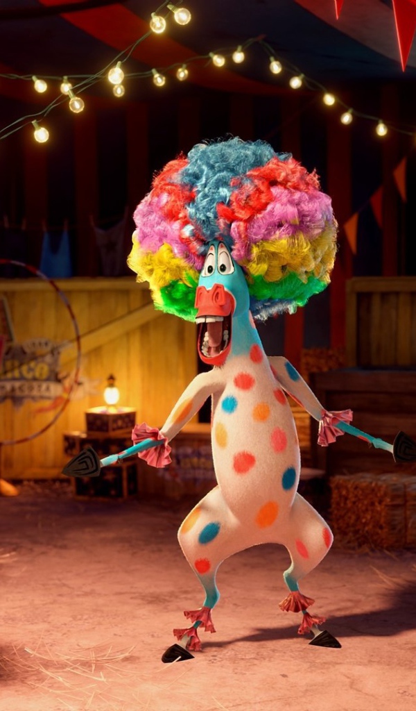 Афро в цирке