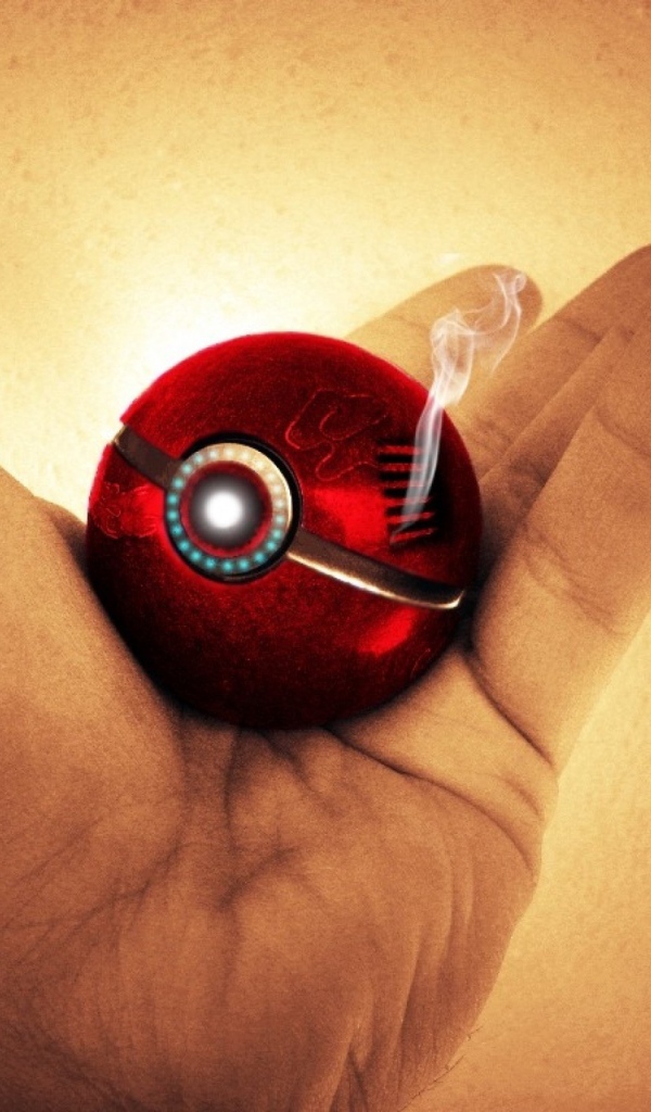 Покебол в руке