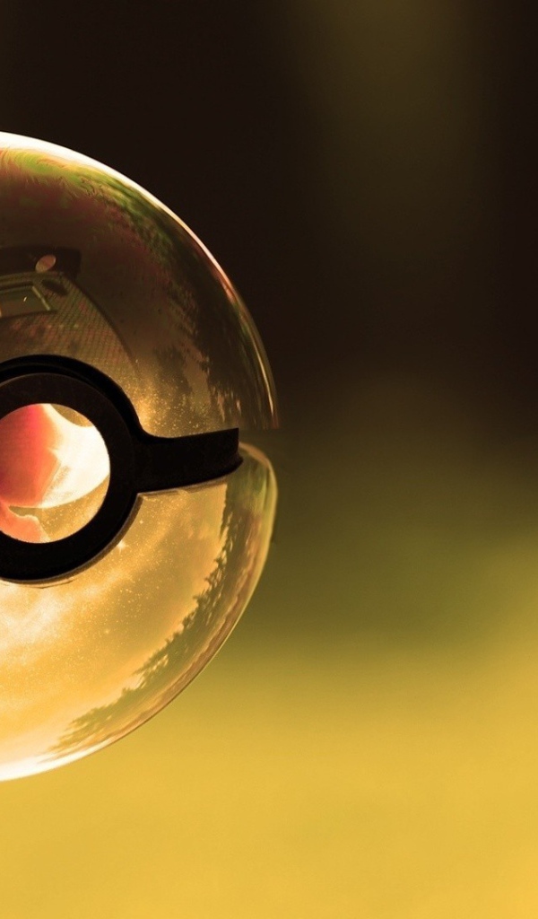 Покемон в прозрачном покеболле