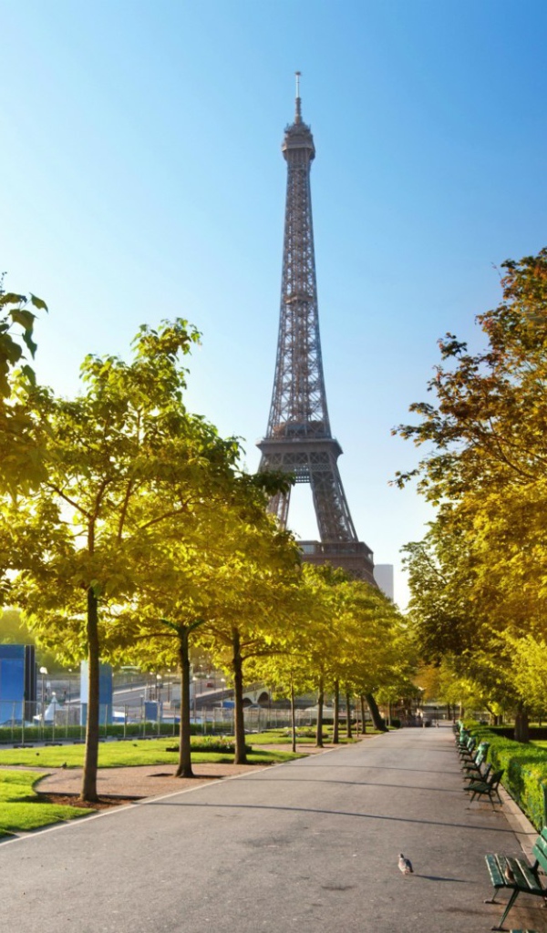 Осенняя аллея в Париже