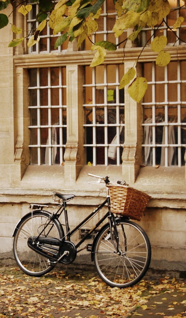 Велосипед с корзинкой у стены