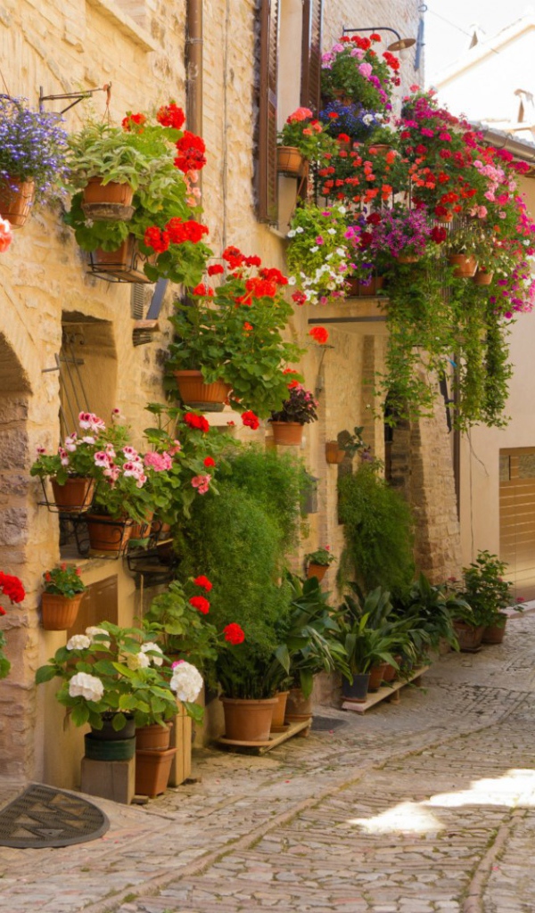 Цветущая Умбрия, Италия