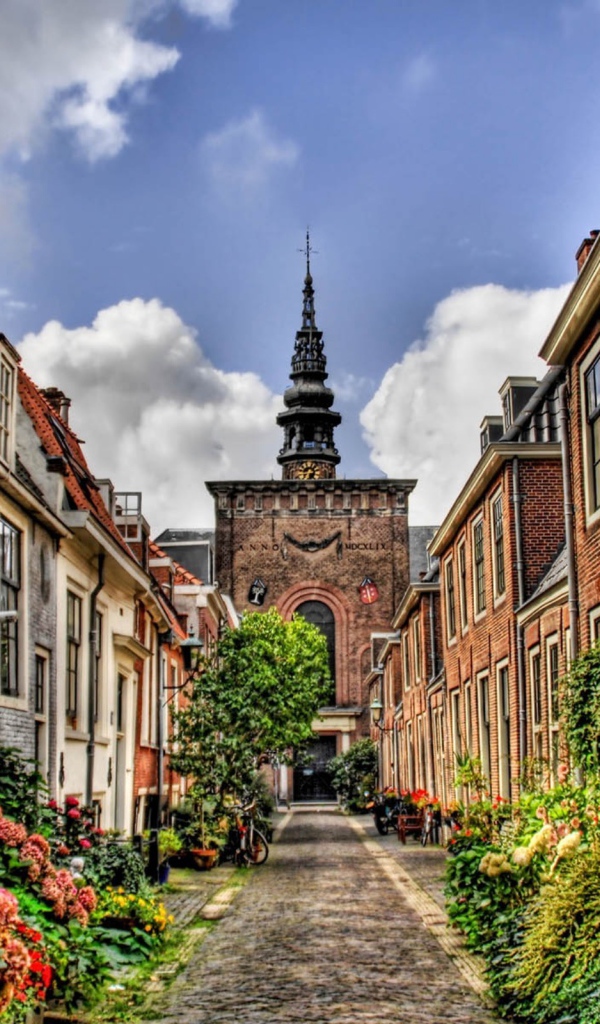 Цветущая узкая улица