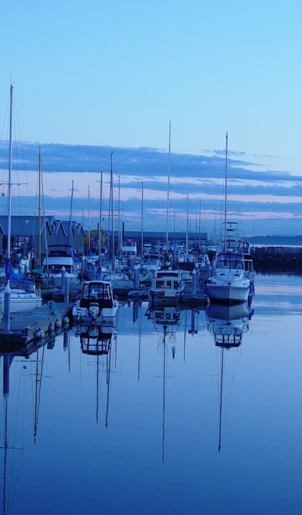 Синий вечер в порту