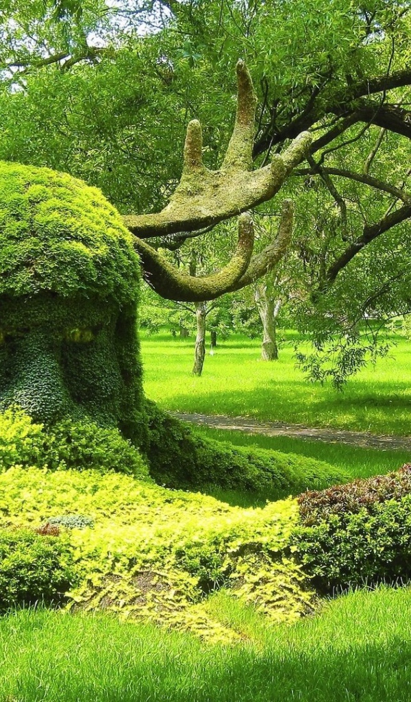 Ботанический сад. Монреаль, Канада