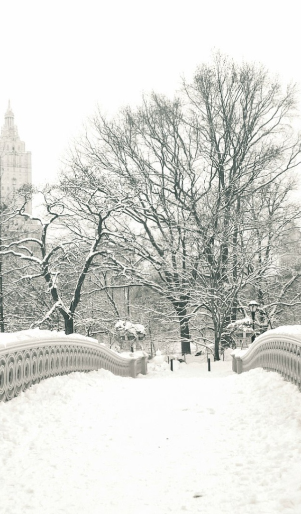 Мост в центральном парке Нью-Йорка