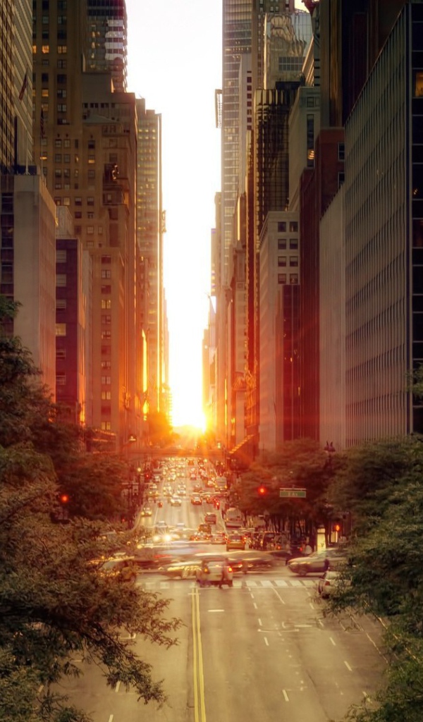 Деловой центр США город Нью-Йорк