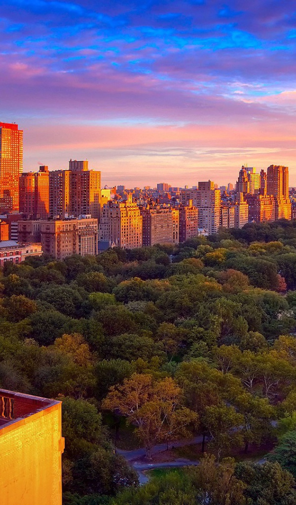 Центральный парк, Нью-Йорк