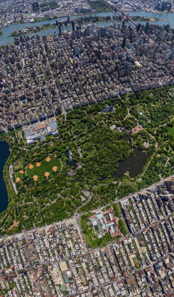 Центральный парк города Нью-Йорк, США