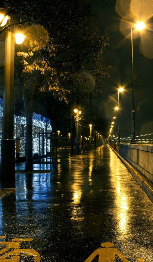 Рождественский трамвай в Будапеште, Венгрия