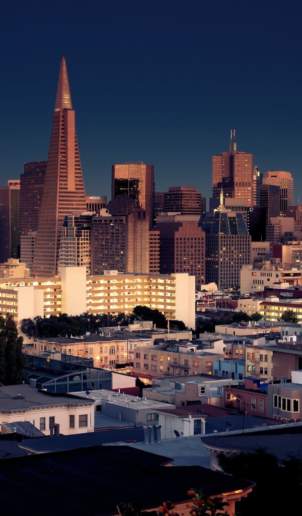 Вечерние небоскребы города Сан-Франциско
