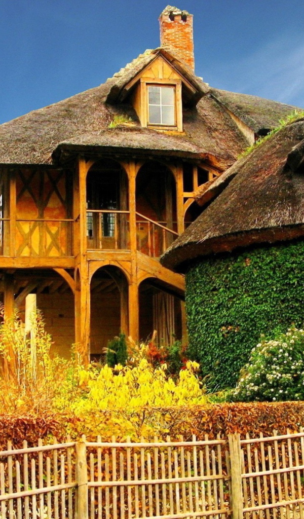 Зеленая беседка у деревянного дома