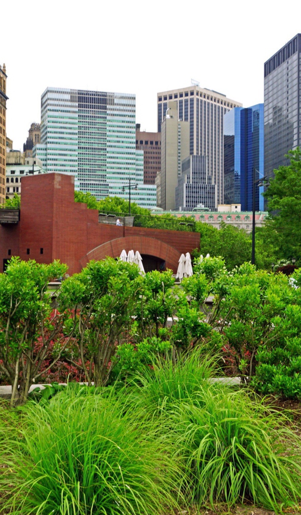 Зеленый парк в центре города