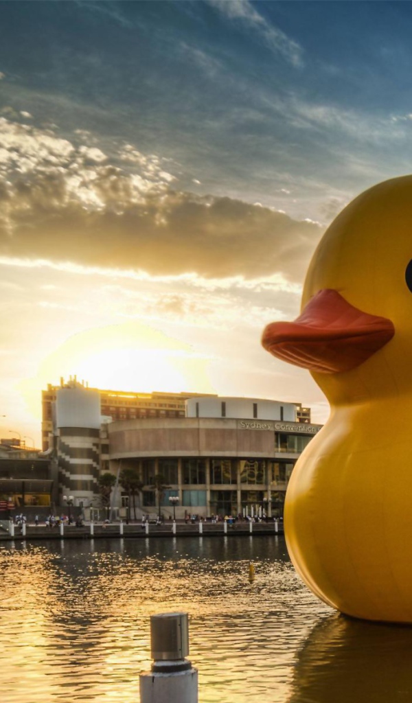 Огромная игрушечная утка