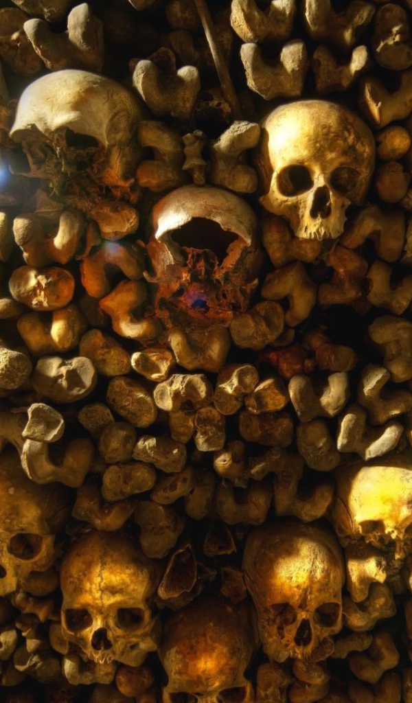 Внутри парижских катакомб