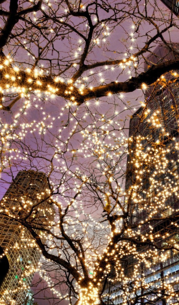 Предновогодний Чикаго США